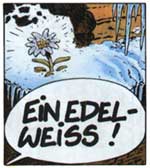 Edelweiss