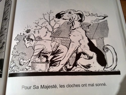 IMG_20141015_194008 x.jpg